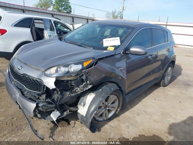 Photo 1 VIN: KNDPMCAC8H7258556 - KIA SPORTAGE 