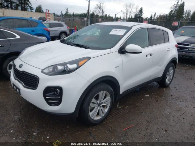 Photo 1 VIN: KNDPMCAC8K7517229 - KIA SPORTAGE 