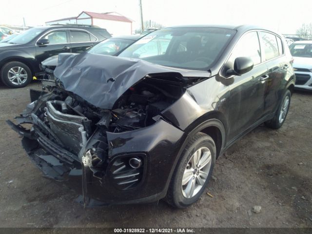 Photo 1 VIN: KNDPMCAC8K7536900 - KIA SPORTAGE 