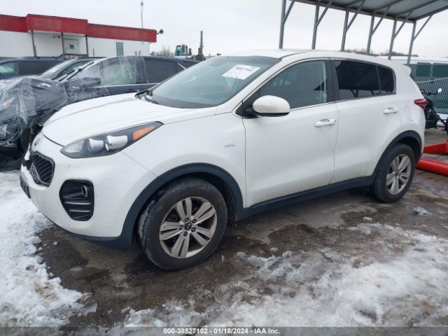 Photo 1 VIN: KNDPMCAC9H7034602 - KIA SPORTAGE 