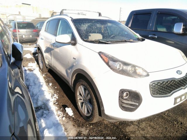 Photo 0 VIN: KNDPMCAC9H7036429 - KIA SPORTAGE 