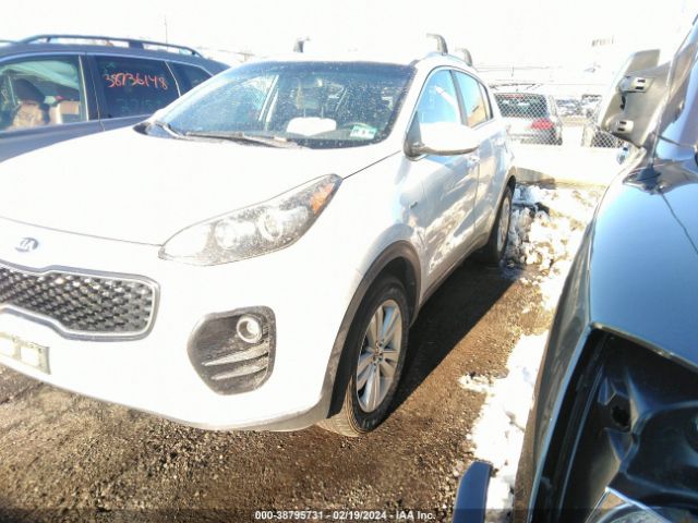 Photo 1 VIN: KNDPMCAC9H7036429 - KIA SPORTAGE 