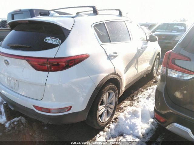 Photo 3 VIN: KNDPMCAC9H7036429 - KIA SPORTAGE 