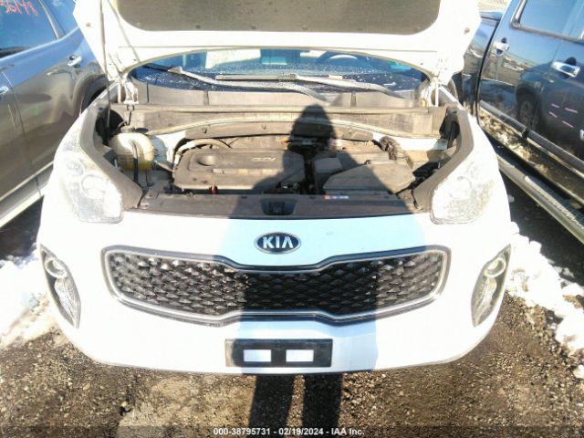 Photo 9 VIN: KNDPMCAC9H7036429 - KIA SPORTAGE 