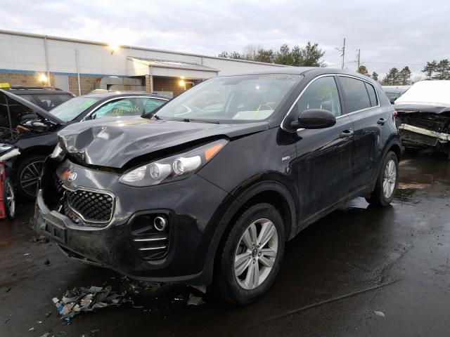 Photo 1 VIN: KNDPMCAC9H7044109 - KIA SPORTAGE 