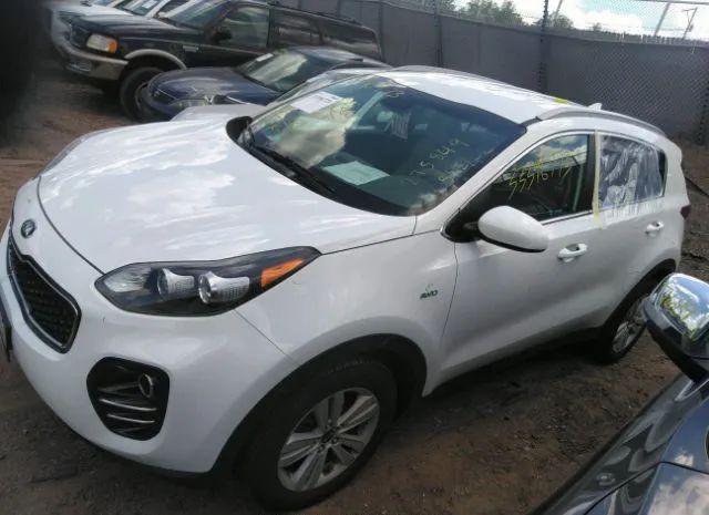 Photo 1 VIN: KNDPMCAC9H7067227 - KIA SPORTAGE 