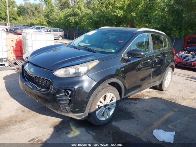 Photo 1 VIN: KNDPMCAC9H7100646 - KIA SPORTAGE 