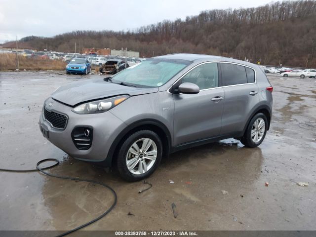 Photo 1 VIN: KNDPMCAC9H7194883 - KIA SPORTAGE 