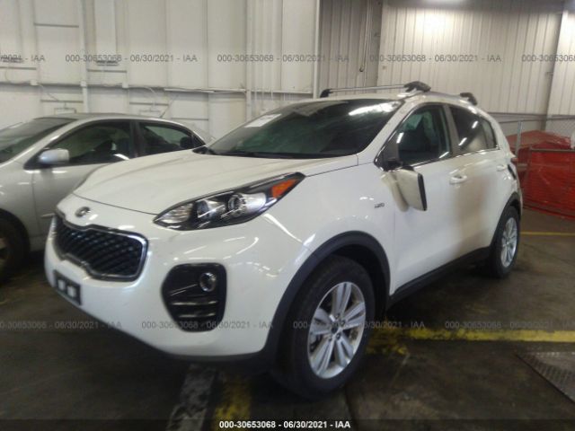 Photo 1 VIN: KNDPMCAC9H7244617 - KIA SPORTAGE 