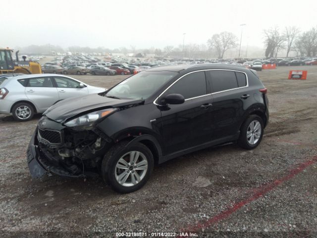 Photo 1 VIN: KNDPMCACXH7066667 - KIA SPORTAGE 