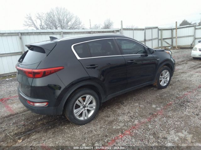 Photo 3 VIN: KNDPMCACXH7066667 - KIA SPORTAGE 