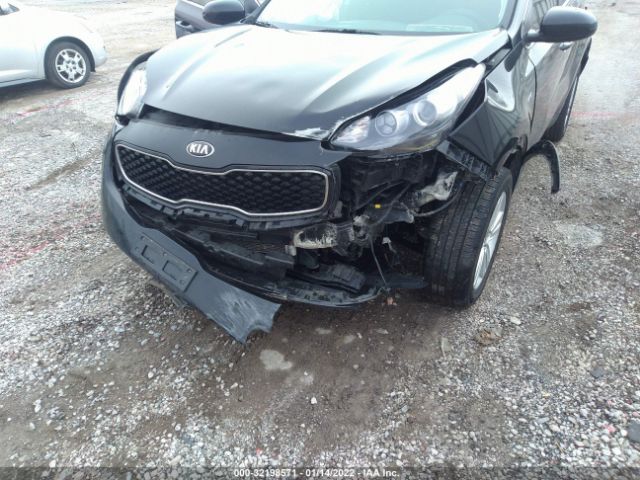 Photo 5 VIN: KNDPMCACXH7066667 - KIA SPORTAGE 