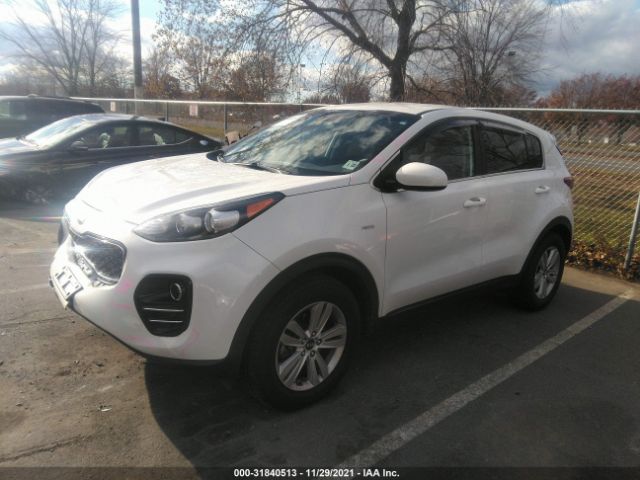 Photo 1 VIN: KNDPMCACXH7117245 - KIA SPORTAGE 