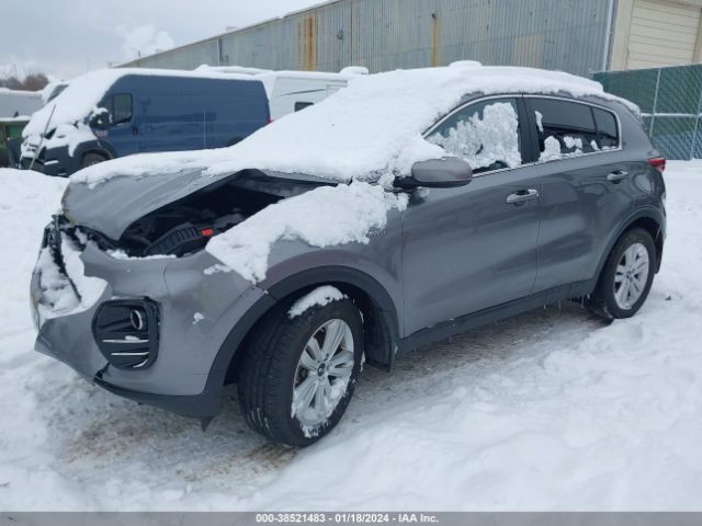 Photo 1 VIN: KNDPMCACXH7121814 - KIA SPORTAGE 