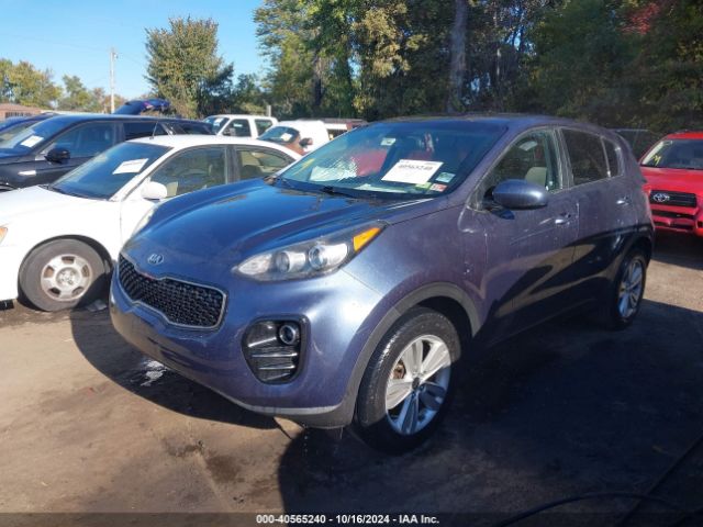 Photo 1 VIN: KNDPMCACXH7124261 - KIA SPORTAGE 