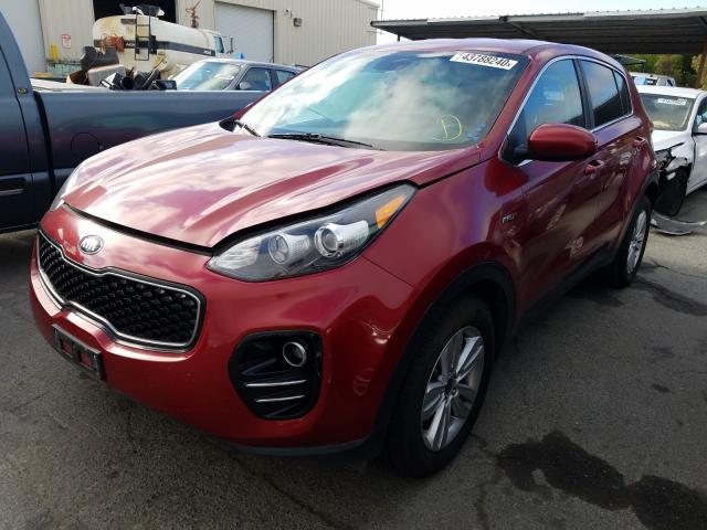 Photo 1 VIN: KNDPMCACXH7257781 - KIA SPORTAGE 