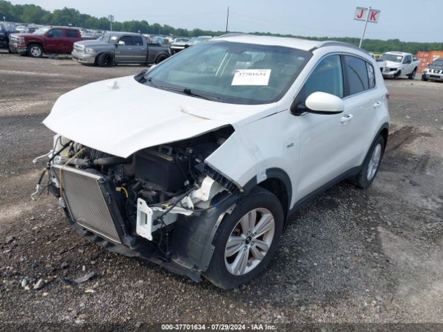 Photo 1 VIN: KNDPMCACXH7266285 - KIA SPORTAGE 