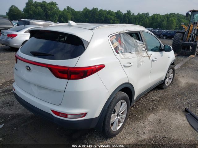 Photo 3 VIN: KNDPMCACXH7266285 - KIA SPORTAGE 