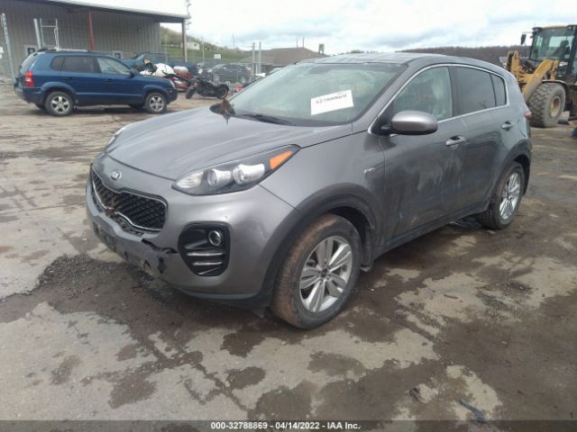 Photo 1 VIN: KNDPMCACXK7556422 - KIA SPORTAGE 