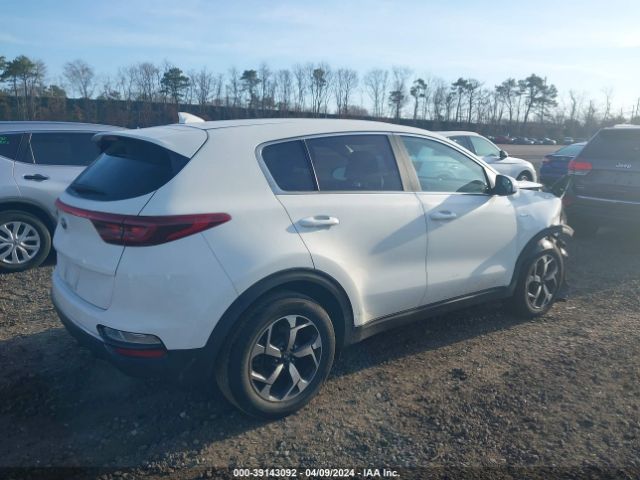 Photo 3 VIN: KNDPMCACXL7825990 - KIA SPORTAGE 