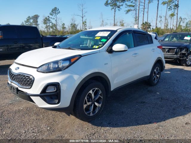 Photo 1 VIN: KNDPMCACXM7926769 - KIA SPORTAGE 