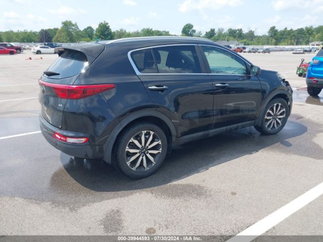 Photo 3 VIN: KNDPN3AC1H7082575 - KIA SPORTAGE 