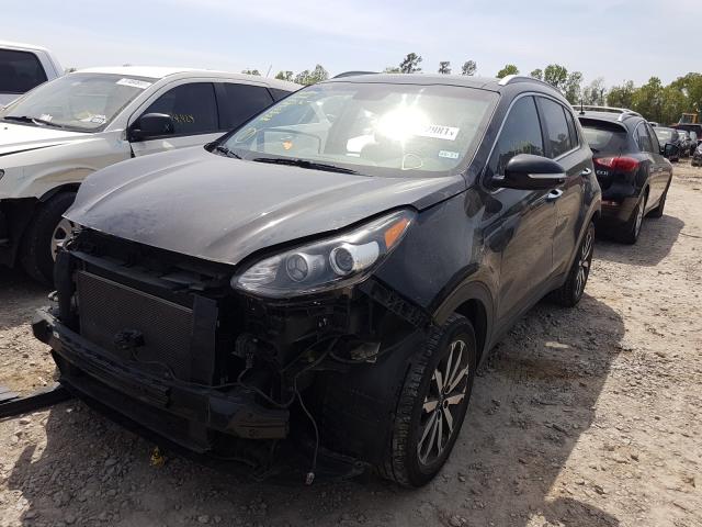 Photo 1 VIN: KNDPN3AC1H7259562 - KIA SPORTAGE 