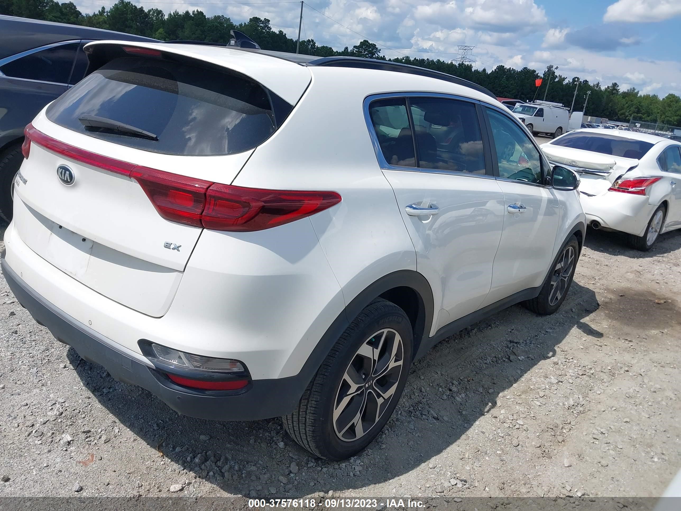 Photo 12 VIN: KNDPN3AC3L7805691 - KIA SPORTAGE 