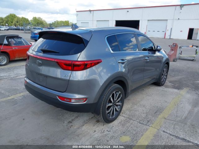 Photo 3 VIN: KNDPN3AC6H7177259 - KIA SPORTAGE 