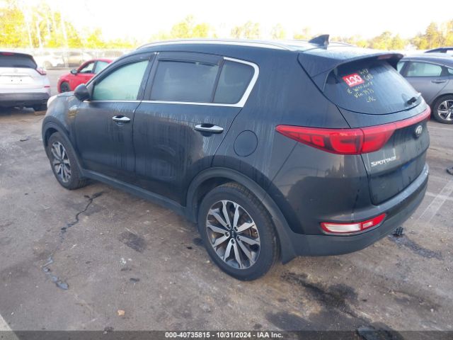 Photo 2 VIN: KNDPN3AC9H7157975 - KIA SPORTAGE 