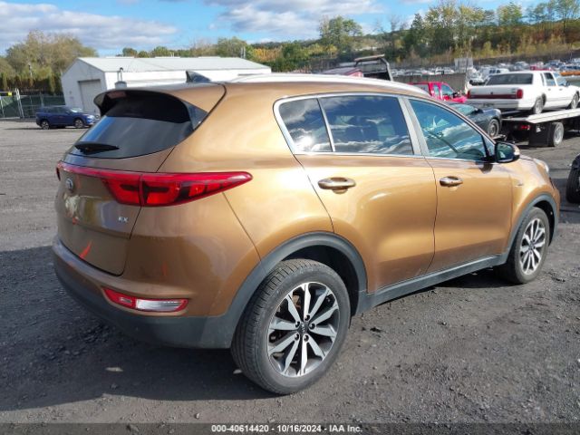 Photo 3 VIN: KNDPNCAC0H7035666 - KIA SPORTAGE 