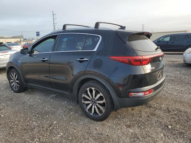 Photo 1 VIN: KNDPNCAC0H7075956 - KIA SPORTAGE 