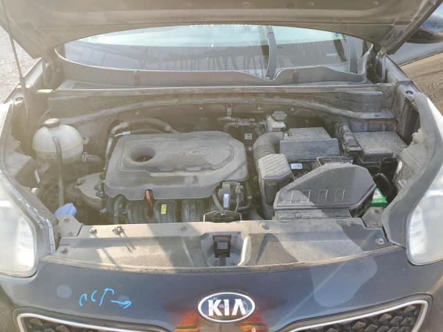 Photo 11 VIN: KNDPNCAC0H7075956 - KIA SPORTAGE 