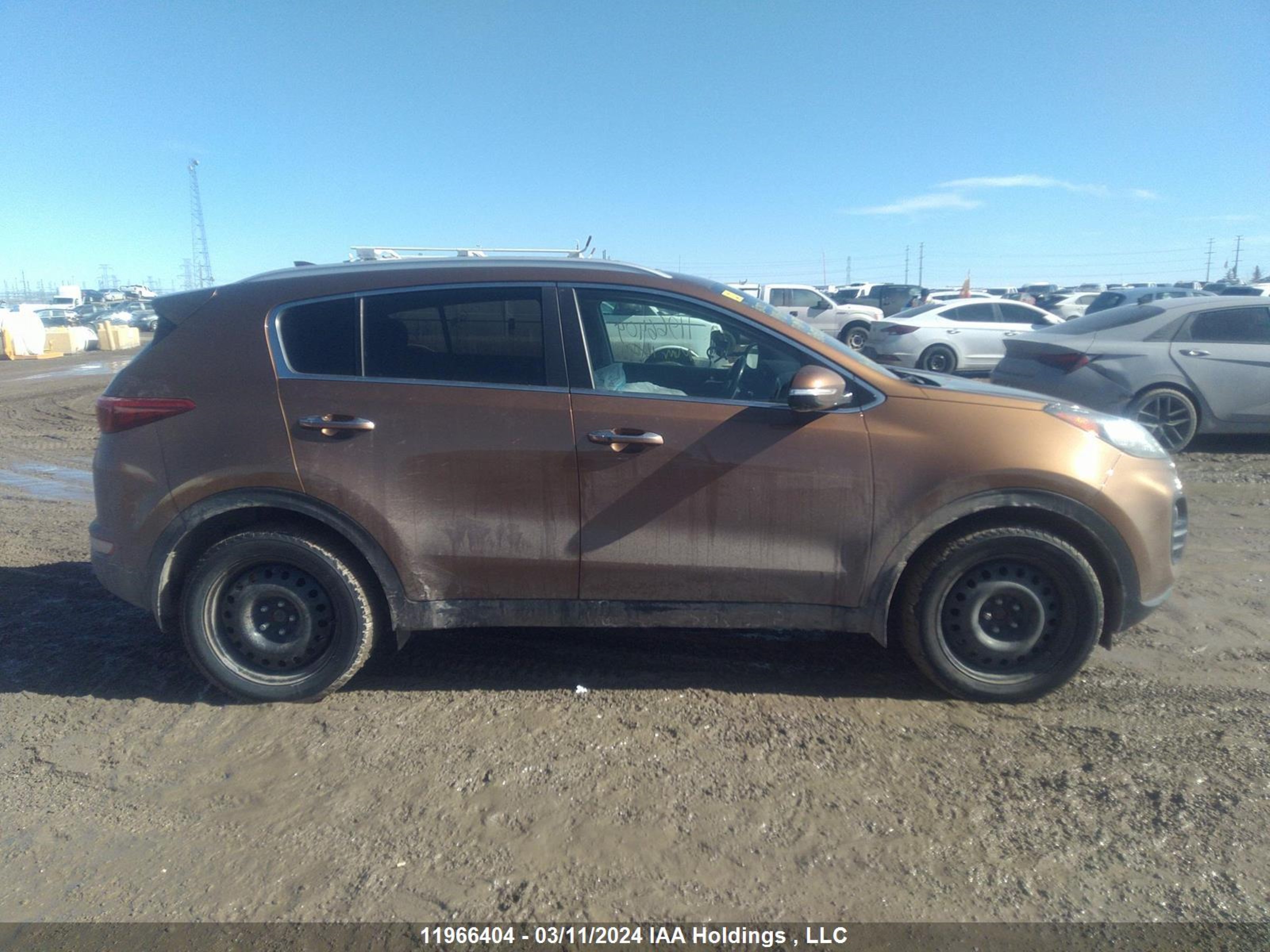 Photo 12 VIN: KNDPNCAC0H7082728 - KIA SPORTAGE 