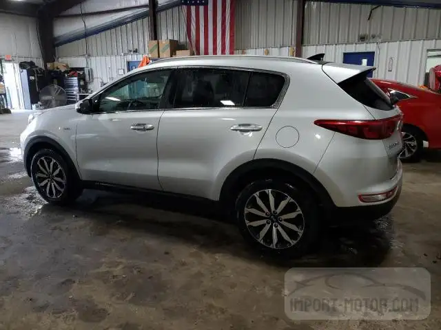 Photo 1 VIN: KNDPNCAC1H7042500 - KIA SPORTAGE 