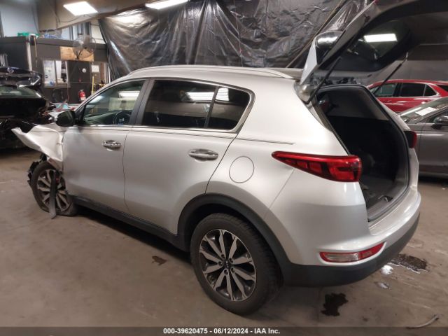 Photo 2 VIN: KNDPNCAC2H7241393 - KIA SPORTAGE 