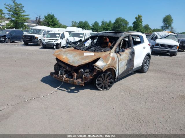 Photo 1 VIN: KNDPNCAC3H7034009 - KIA SPORTAGE 