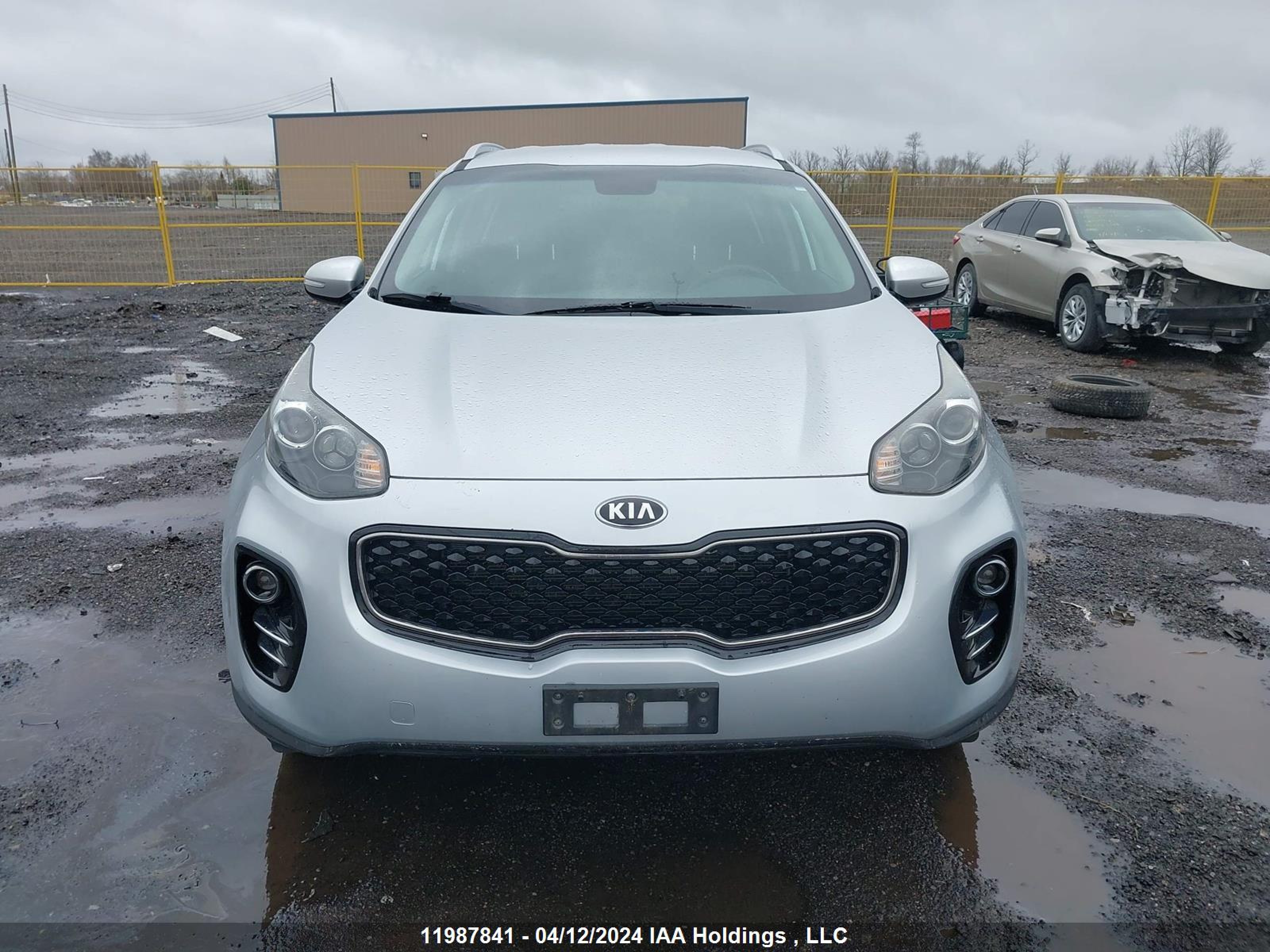 Photo 12 VIN: KNDPNCAC3H7195234 - KIA SPORTAGE 