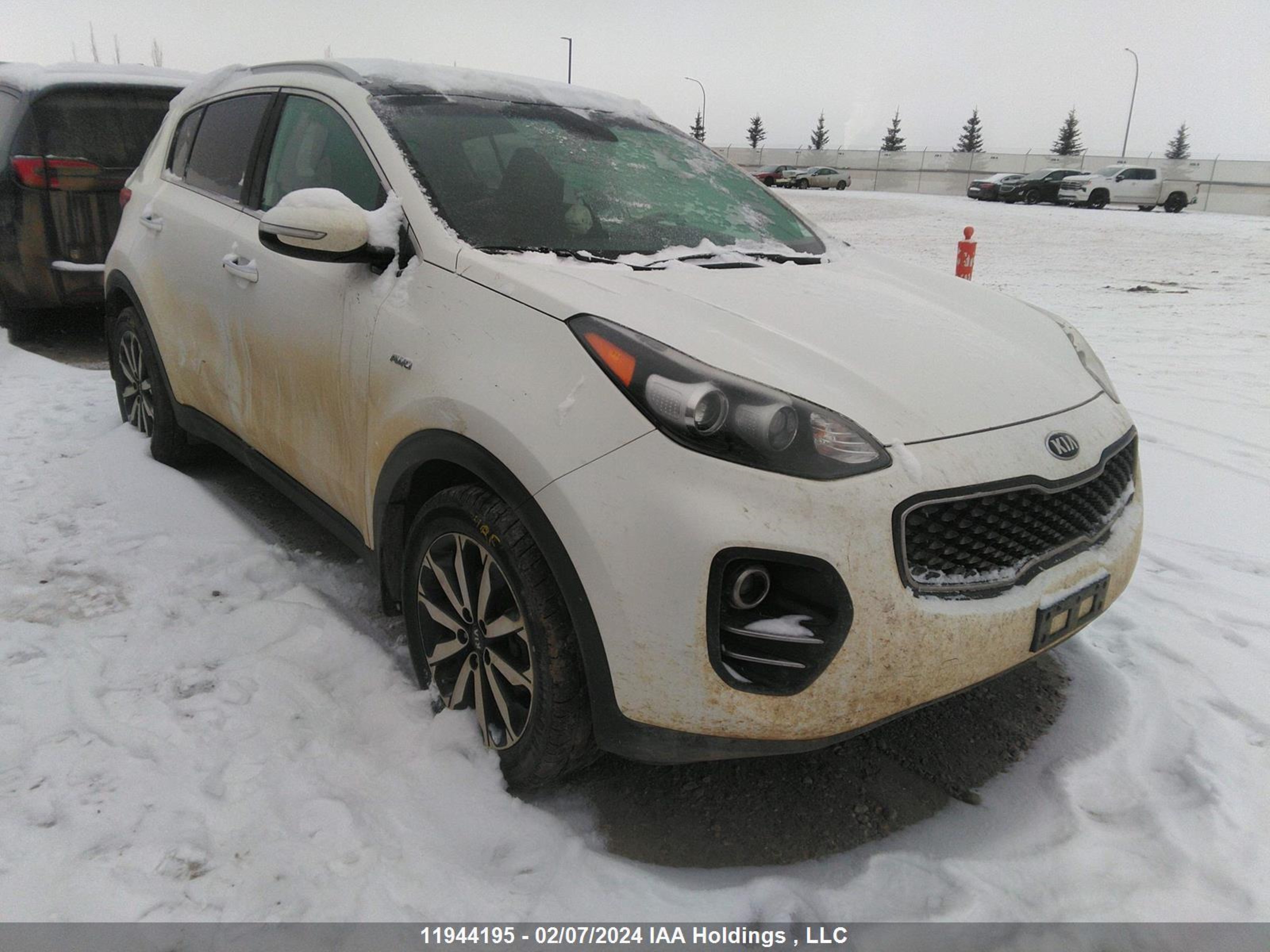 Photo 0 VIN: KNDPNCAC3H7236459 - KIA SPORTAGE 