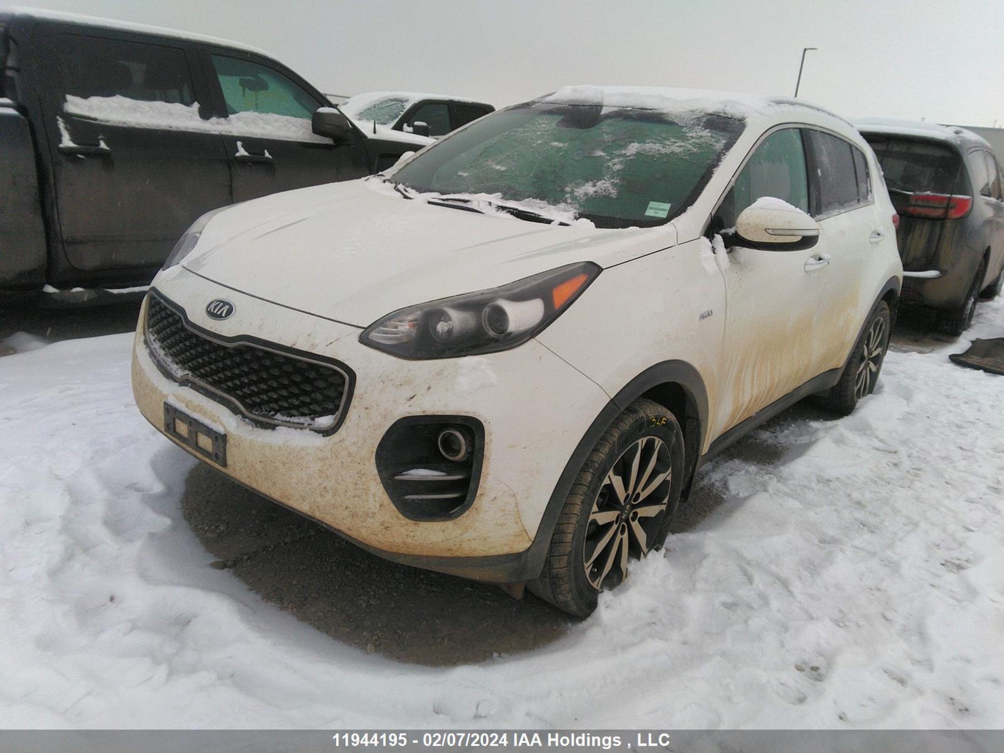 Photo 1 VIN: KNDPNCAC3H7236459 - KIA SPORTAGE 