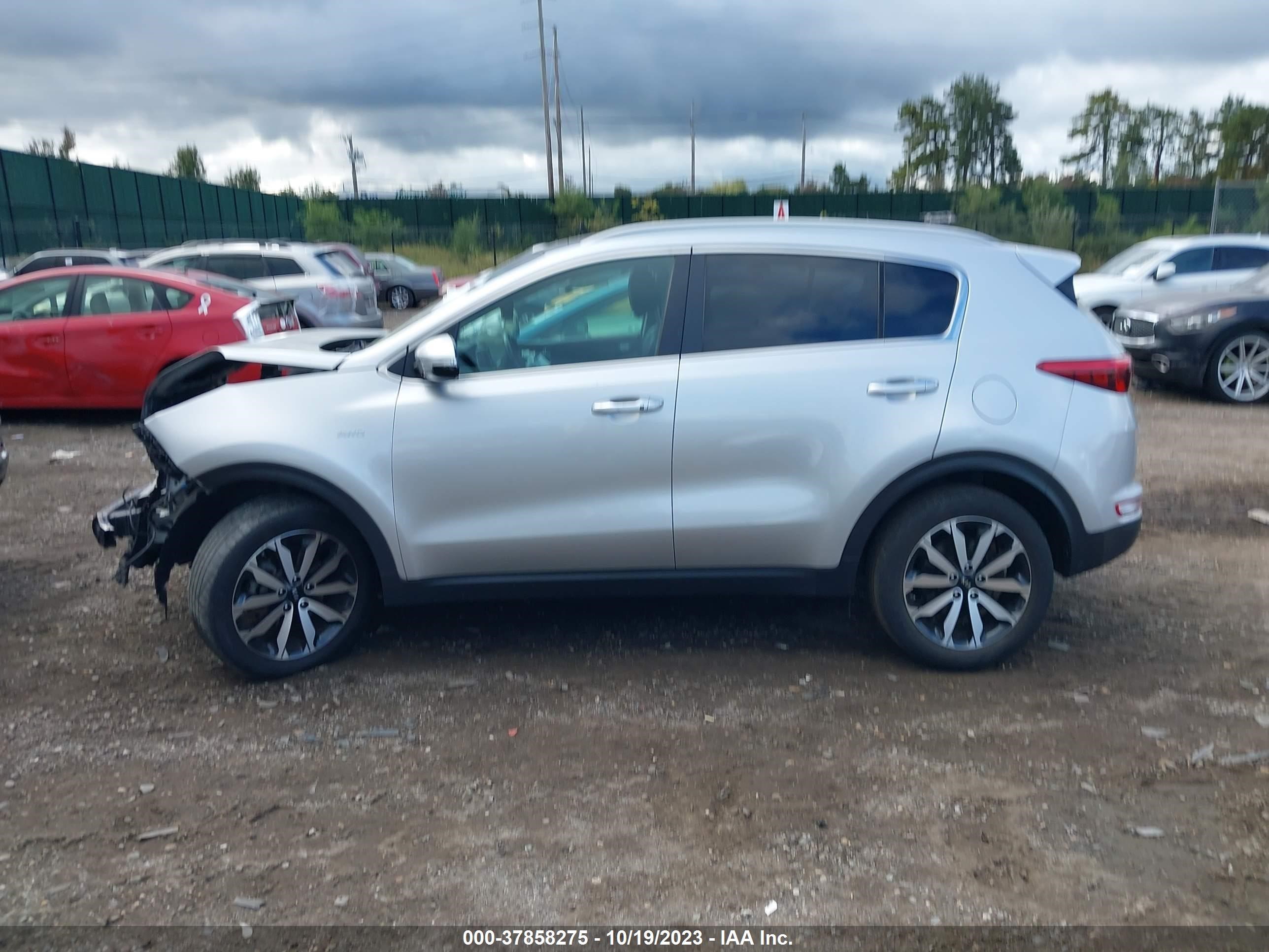 Photo 12 VIN: KNDPNCAC3H7274354 - KIA SPORTAGE 