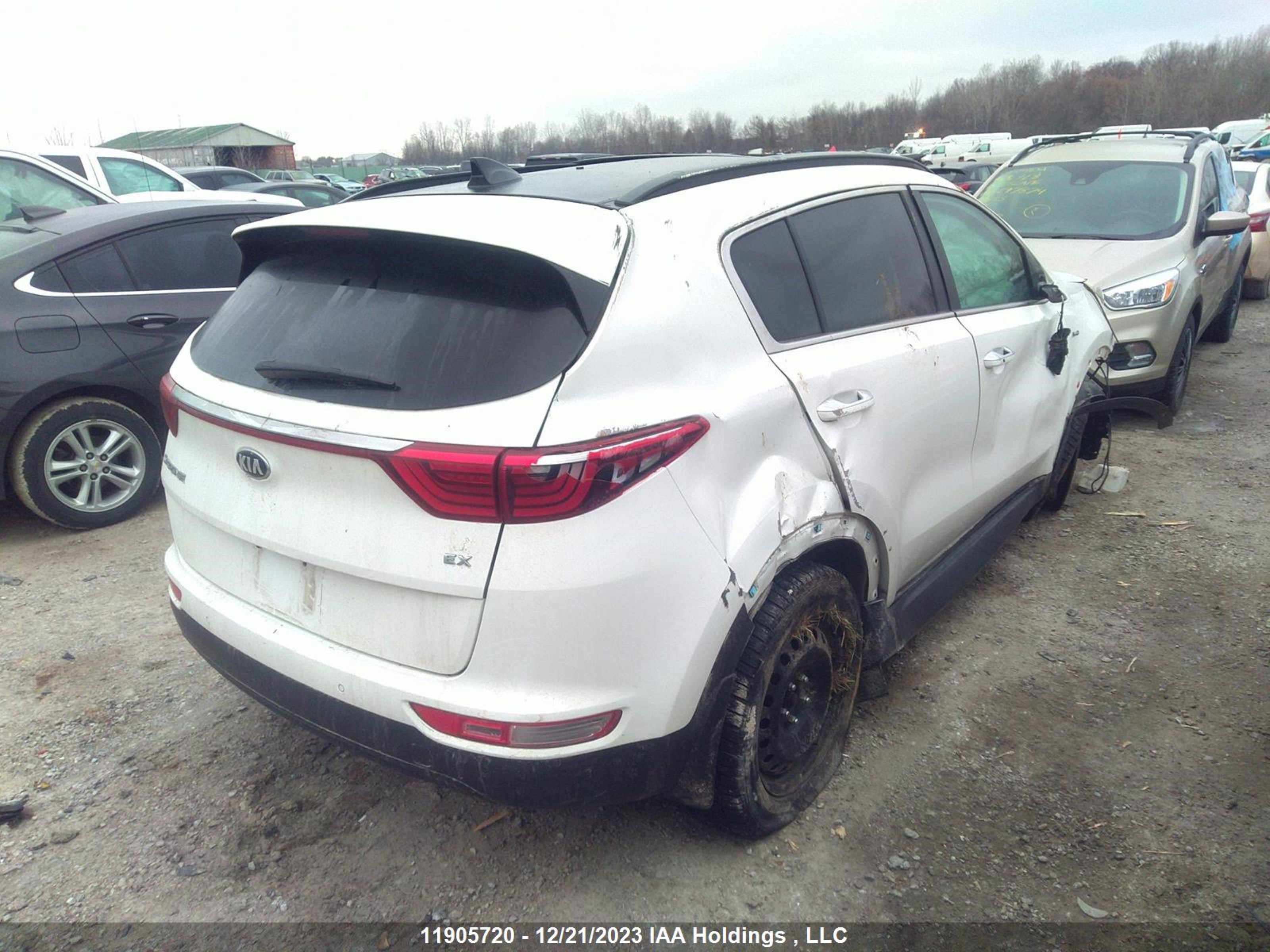 Photo 3 VIN: KNDPNCAC3J7323770 - KIA SPORTAGE 