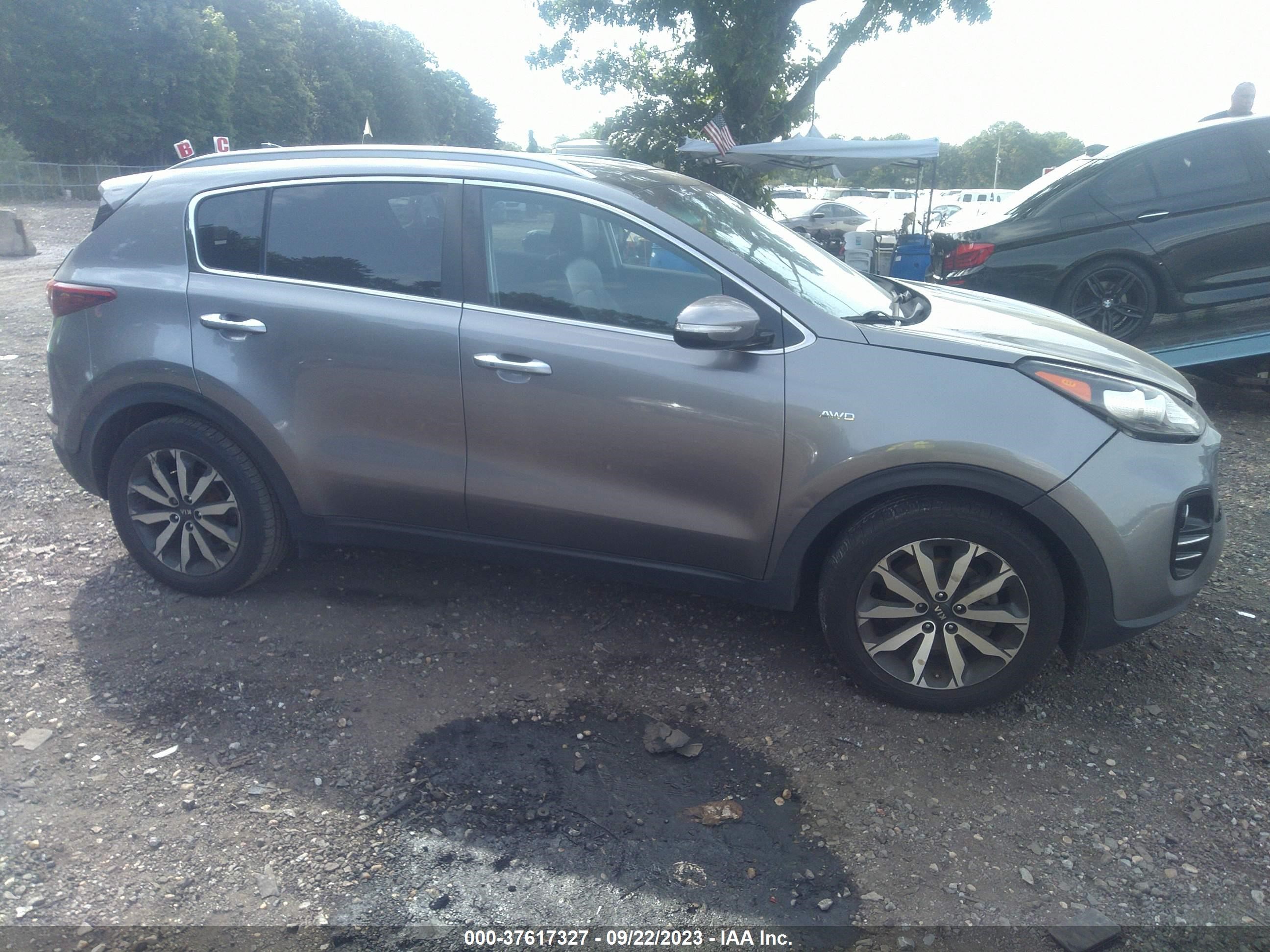 Photo 12 VIN: KNDPNCAC5H7296484 - KIA SPORTAGE 