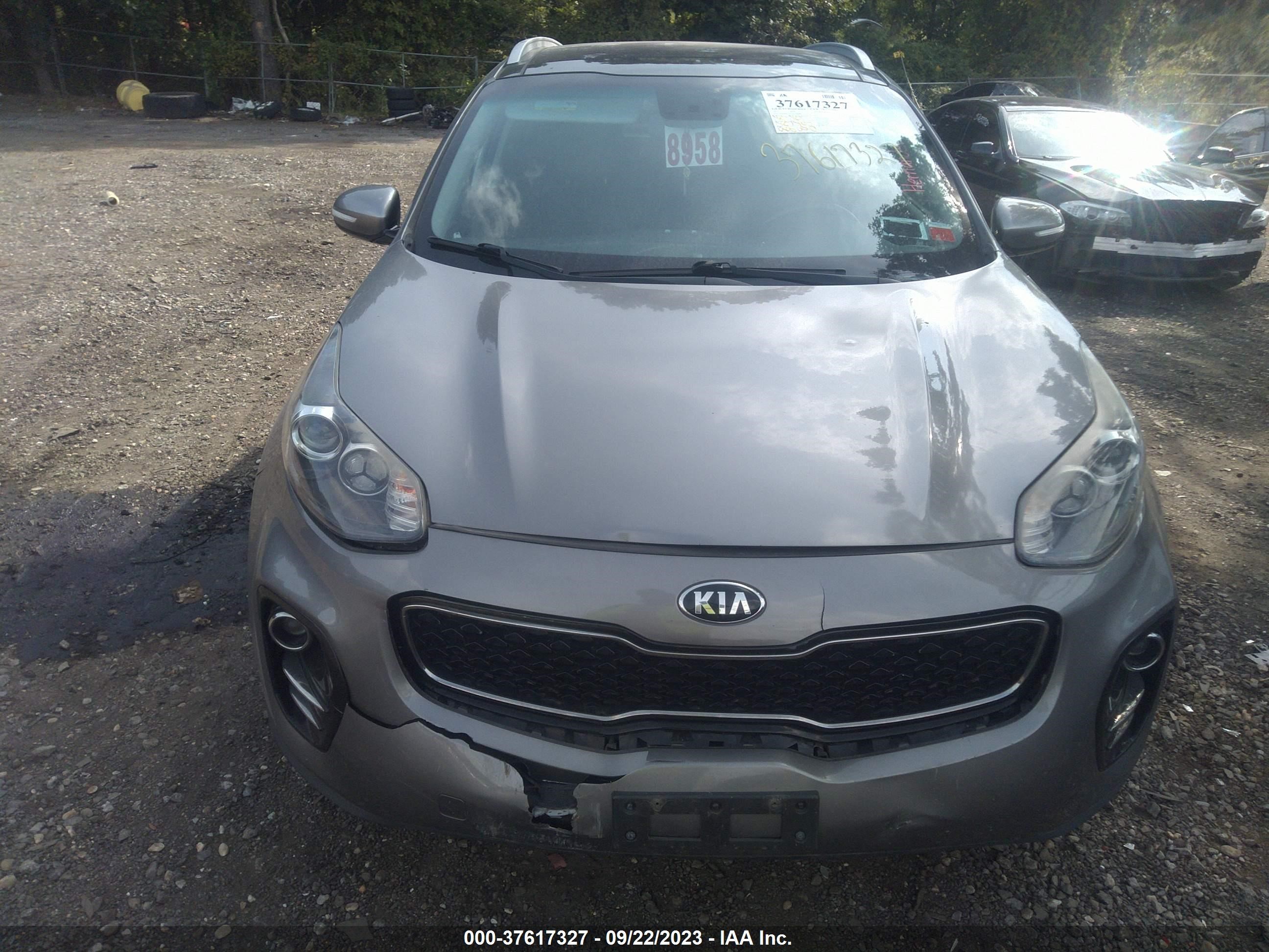 Photo 5 VIN: KNDPNCAC5H7296484 - KIA SPORTAGE 