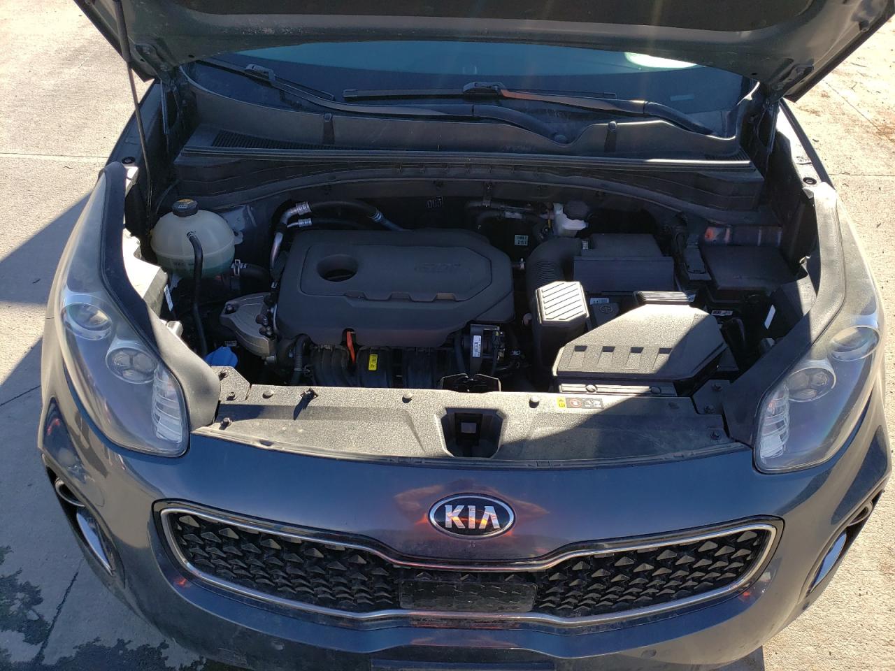 Photo 11 VIN: KNDPNCAC6H7204895 - KIA SPORTAGE 