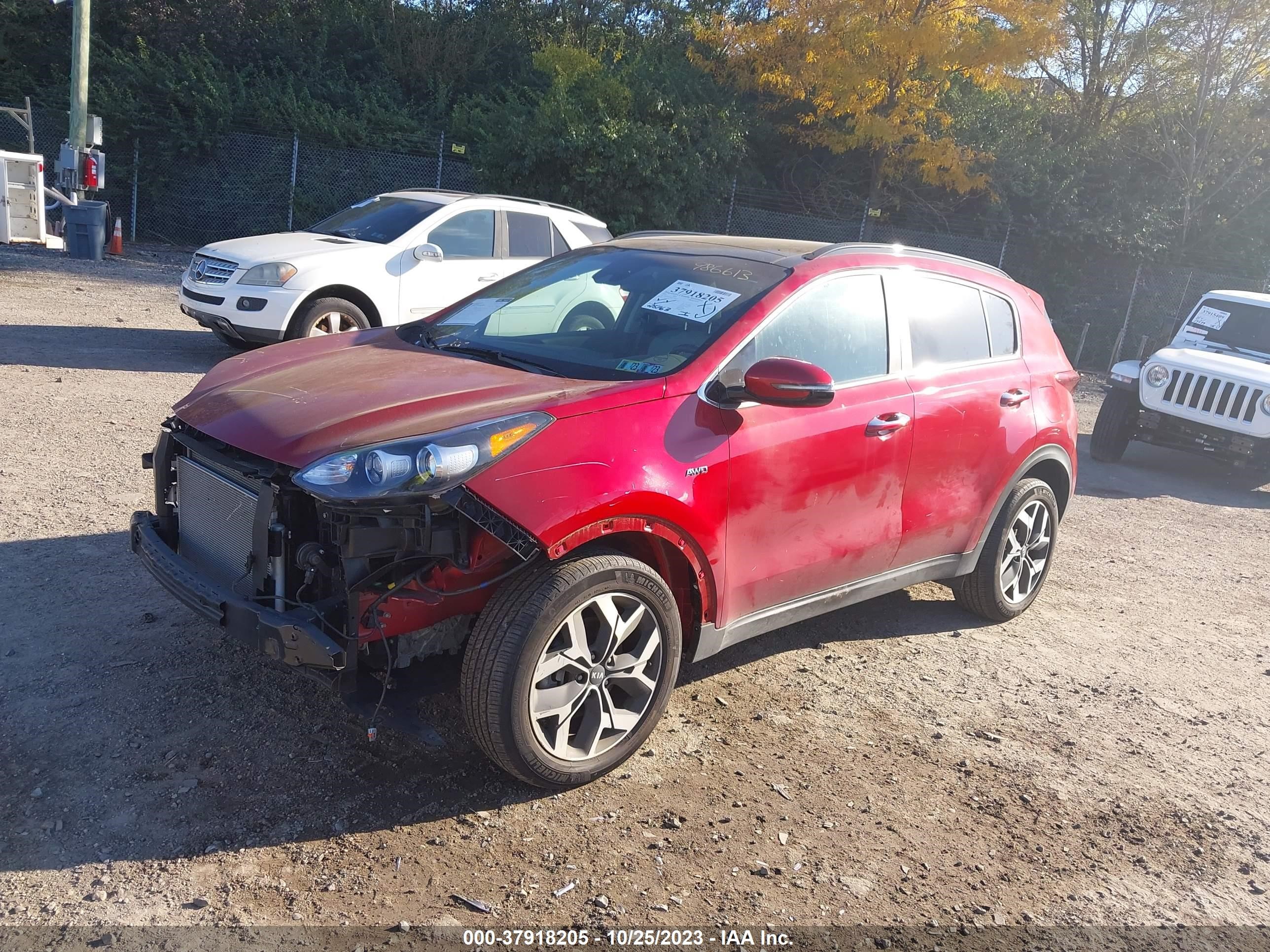 Photo 1 VIN: KNDPNCAC6N7986613 - KIA SPORTAGE 