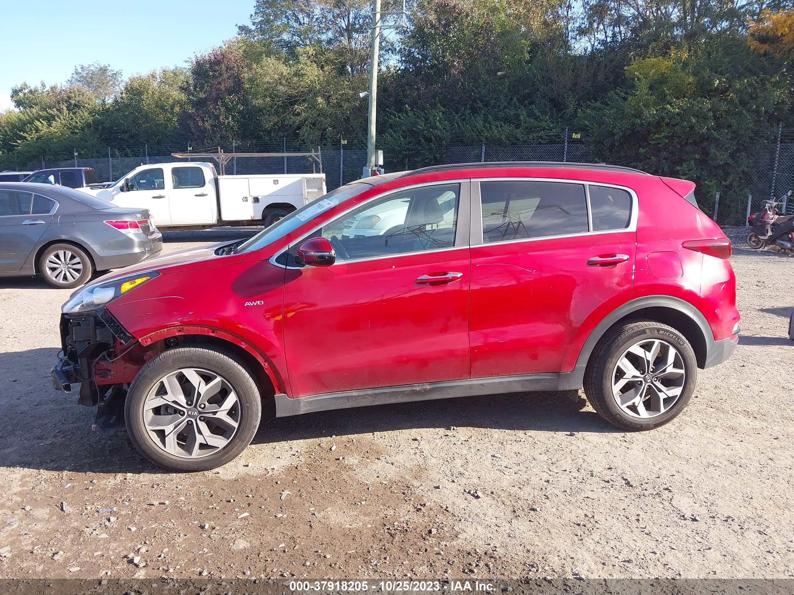 Photo 14 VIN: KNDPNCAC6N7986613 - KIA SPORTAGE 