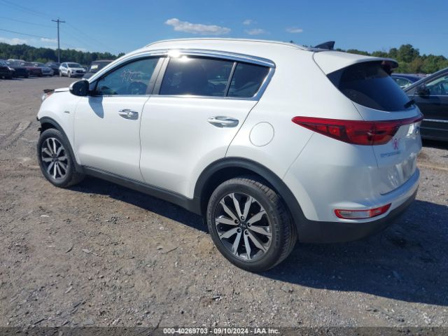 Photo 2 VIN: KNDPNCAC7H7058314 - KIA SPORTAGE 