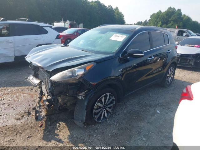 Photo 1 VIN: KNDPNCAC7H7175939 - KIA SPORTAGE 