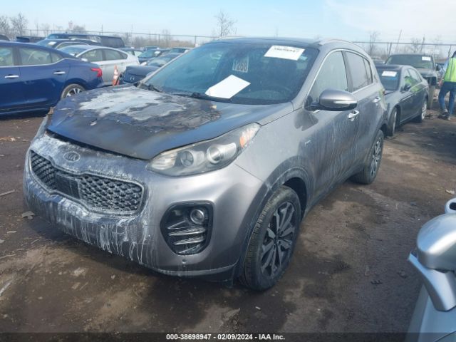 Photo 1 VIN: KNDPNCAC8H7052747 - KIA SPORTAGE 